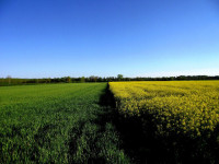 /album/galerie-de-photos5/dscf6458-copier-jpg/
