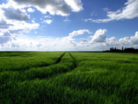 /album/galerie-de-photos5/dscf6526-copier-jpg/