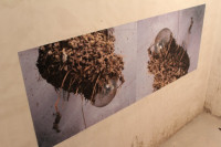 /album/la-fruitiere/img-2675-jpg/