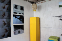 /album/la-fruitiere/img-2771-jpg/