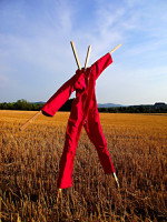 /album/galerie-de-photos5/dscf8362-copier-jpg/