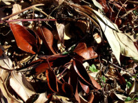 /album/galerie-de-photos5/95-jpg/