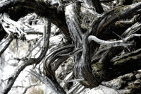 /album/galerie-de-photos5/72-jpg/