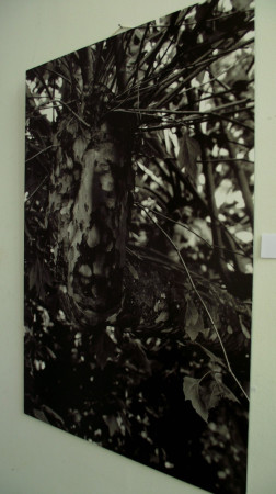 DSCF1064.JPG